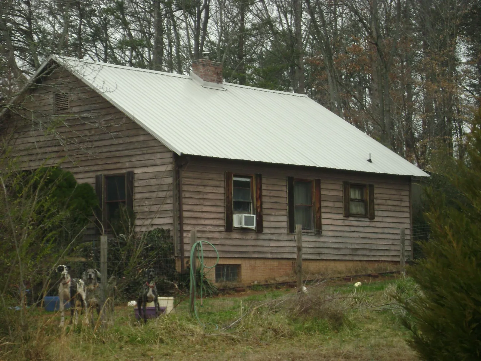 White metal roof on an old wood sided farmhouse, from a Asphalt Shingle Roof Repair job in Trout Creek